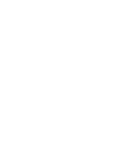 developer icon