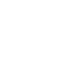 IT icon